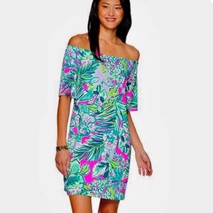 Beautiful Lilly Pulitzer Fawcett Dress Size L